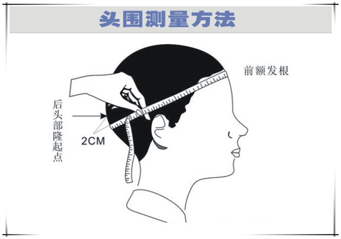 頭圍的測(cè)量方法圖